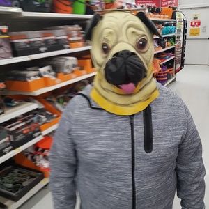 Meet your Posher, Jon